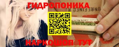 сатива Славгород