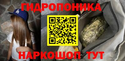 сатива Славгород