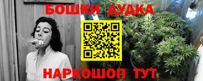 сатива Славгород