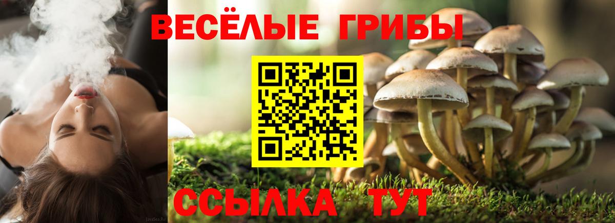 Псилоцибиновые грибы ЛСД Обнинск